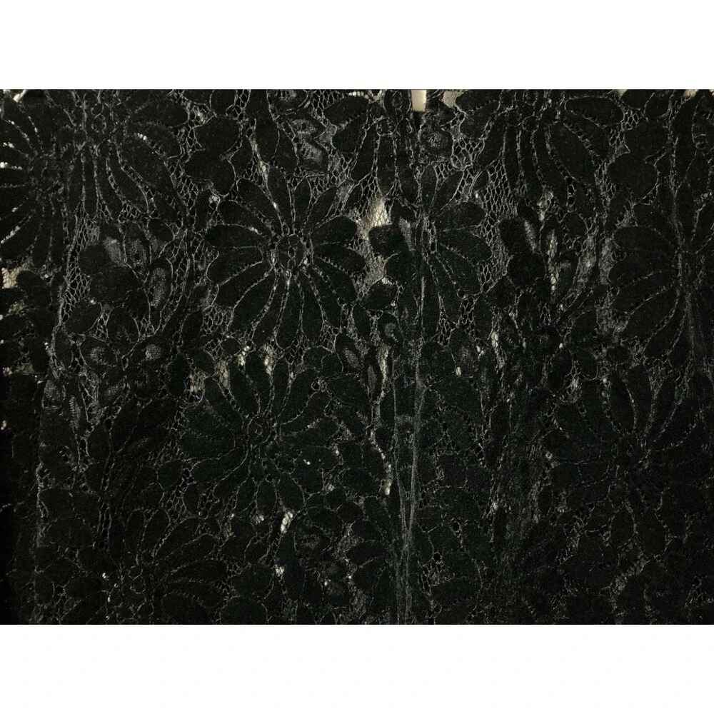 Zara Basic Womens Floral Lace Sheer Top Sm Black Velvet Keyhole Back Whimsygoth